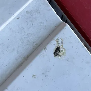 a tiny bug on the side of a red bench