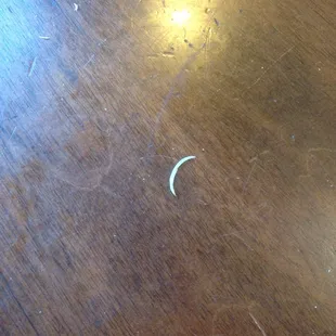 Finger nail clipping on table, all tables were dirty the place was empty so they weren&apos;t busy