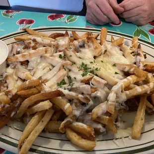 Large serving of garlic parm fries