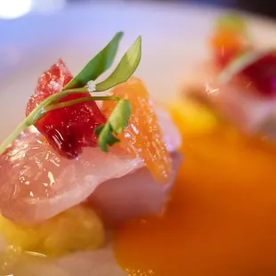 Kampachi causa, citrus, aaji amarillo, blood orange