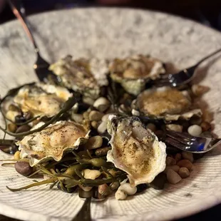 Grilled Oysters on the half shell