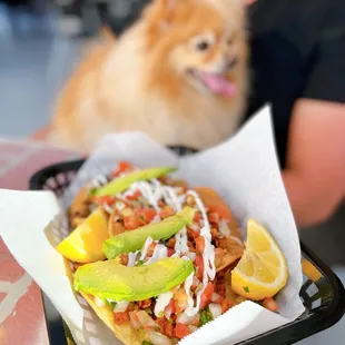 a dog sitting in the background