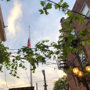 a view of a flag on a pole