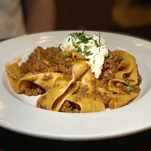 Bolognese