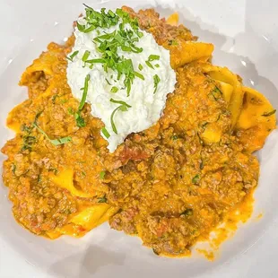 Bolognese