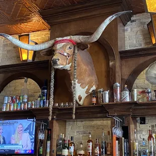 Bully-Nelson at speakeasy