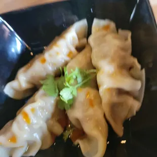 Steamed beef gyoza