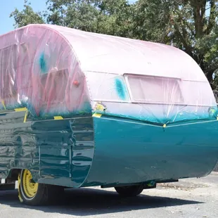 Shasta Must Have Ya!