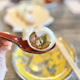 Soup Pan Fried Pork Buns (6)