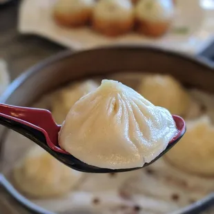 Shrimp XLB