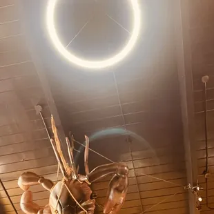 Ambience - artwork on the ceiling