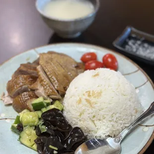 B57. Chiu Chow Brined Free Range Duck Over Rice Combo