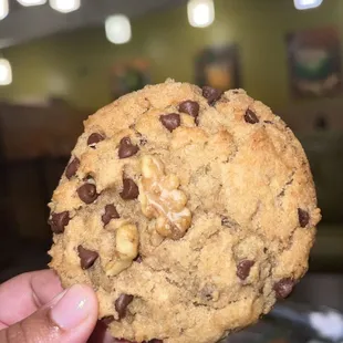 a hand holding a chocolate chip cookie