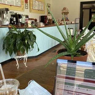 View from inside