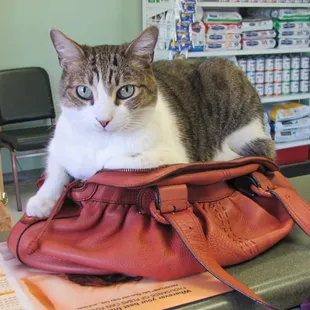 Oliver trying to make a get-a-way?