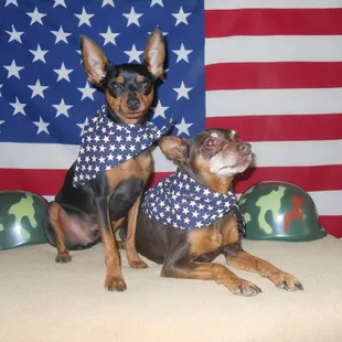 Pippen &amp; Jordan, Go 'Merica!!