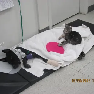 "So this was made for me right??"