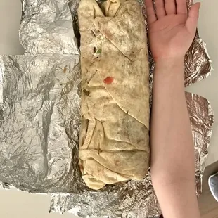 &quot;Double Burrito&quot;