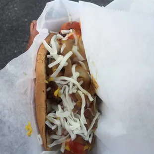a hot dog covered in cheese