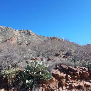 burritos and wraps, outside