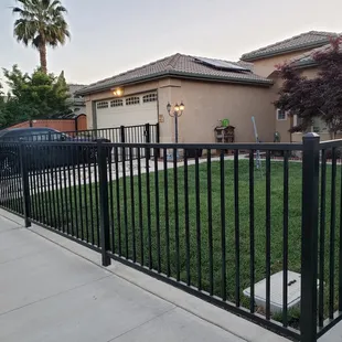 Regal style wrought iron fence