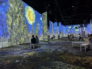 Immersive Van Gogh Exhibit
