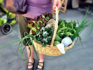 Colorado Farm & Art Market