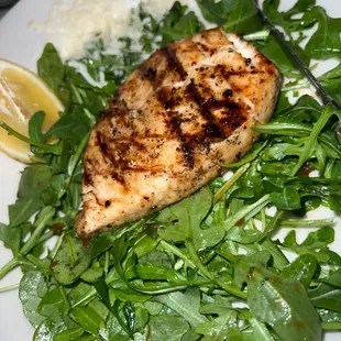 a grilled chicken breast on a bed of greens