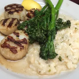 Bay Diver Scallop