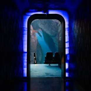 Postcard from Earth must be seen to be believed.