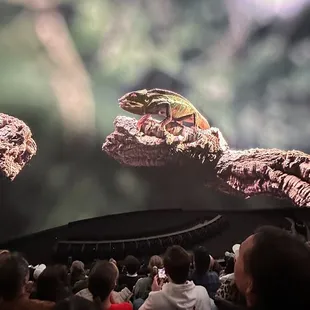 My phone couldn't come close to capturing the size of the screen