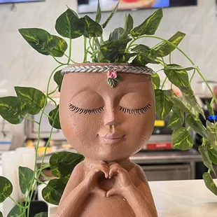 Nice little plant to greet you when you walk up to the counter. :)