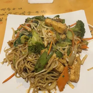 Vegetarian schezuan hand drawn noodles with fried tofu