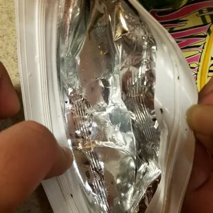 The bag was filled with pests.