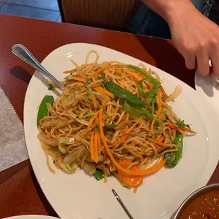 Veg Hakka Noodles