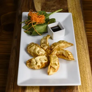 Gold Rush Fried Wontons