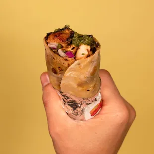 a hand holding a wrap of food