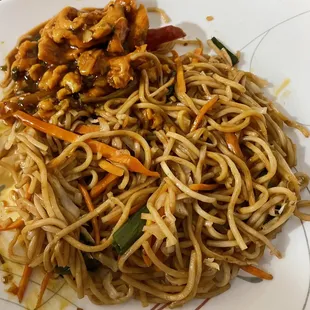 Hakka noodles with Coriander Garlic chicken