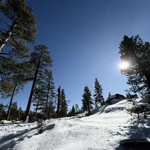 The closest place to the Bay Area with snow (a 2.5 hour drive from Oakland)!