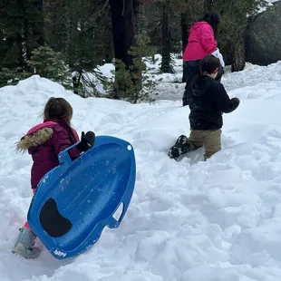 Sledding