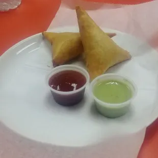Chicken Samosa