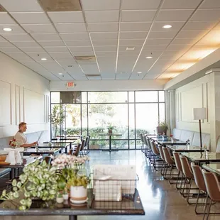 salads, interior