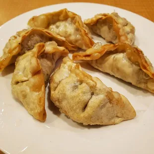 Gyoza