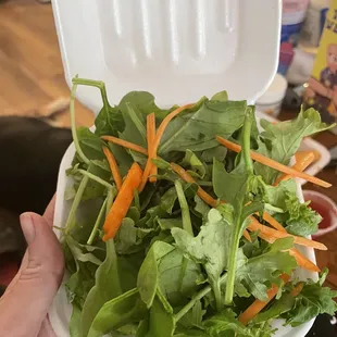 Salad