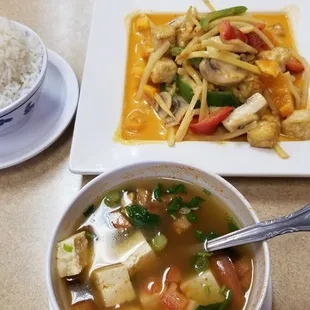 Tom yum soup with tofu, and gang dang curry with fried tofu (ordered mild, but could've done medium spicy). Very good!