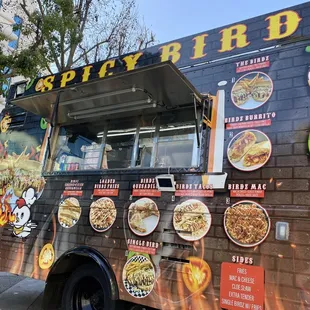 Single Bird at Spicy Birdz