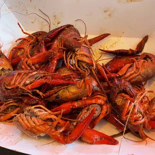 a pile of lobsters in a container