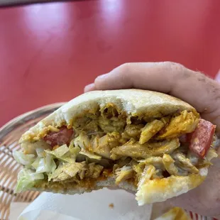 Chicken on pita was delicious!