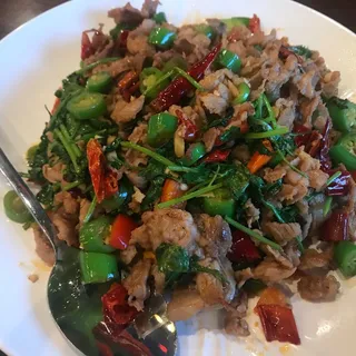 Stir Fried Sliced Lamb with Chili and Cilantro