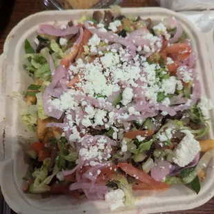 Euro donner loaded fries